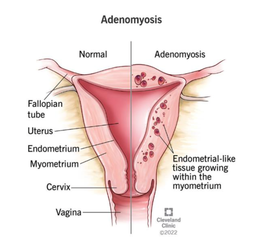 Screenshot 2024-07-08 at 10.36.14