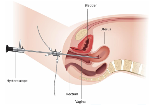 Screenshot 2024-07-08 at 22.41.31