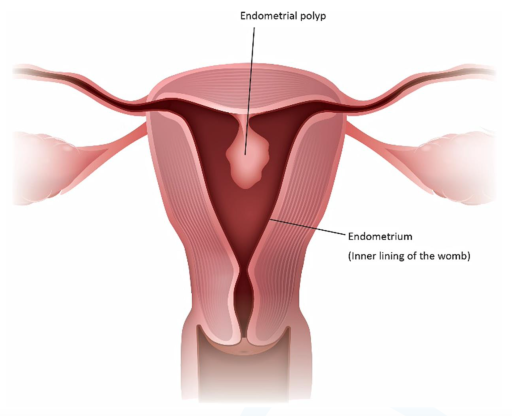 Screenshot 2024-07-08 at 22.41.46