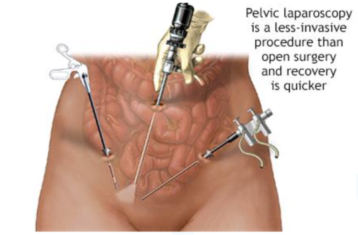 Screenshot 2024-07-08 at 22.55.50